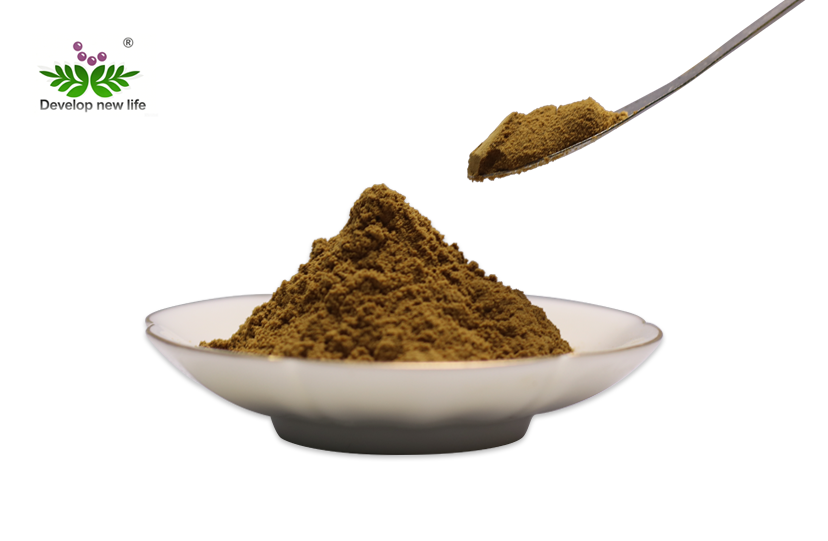 Best Ashwagandha Extract Powder